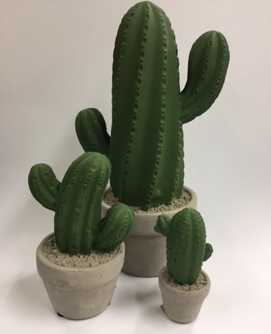 Cactus Filip (trio) aardewerk