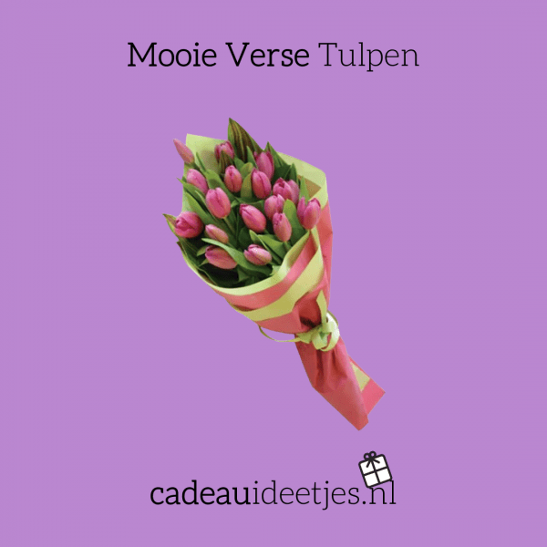 Mooie verse roze tulpen